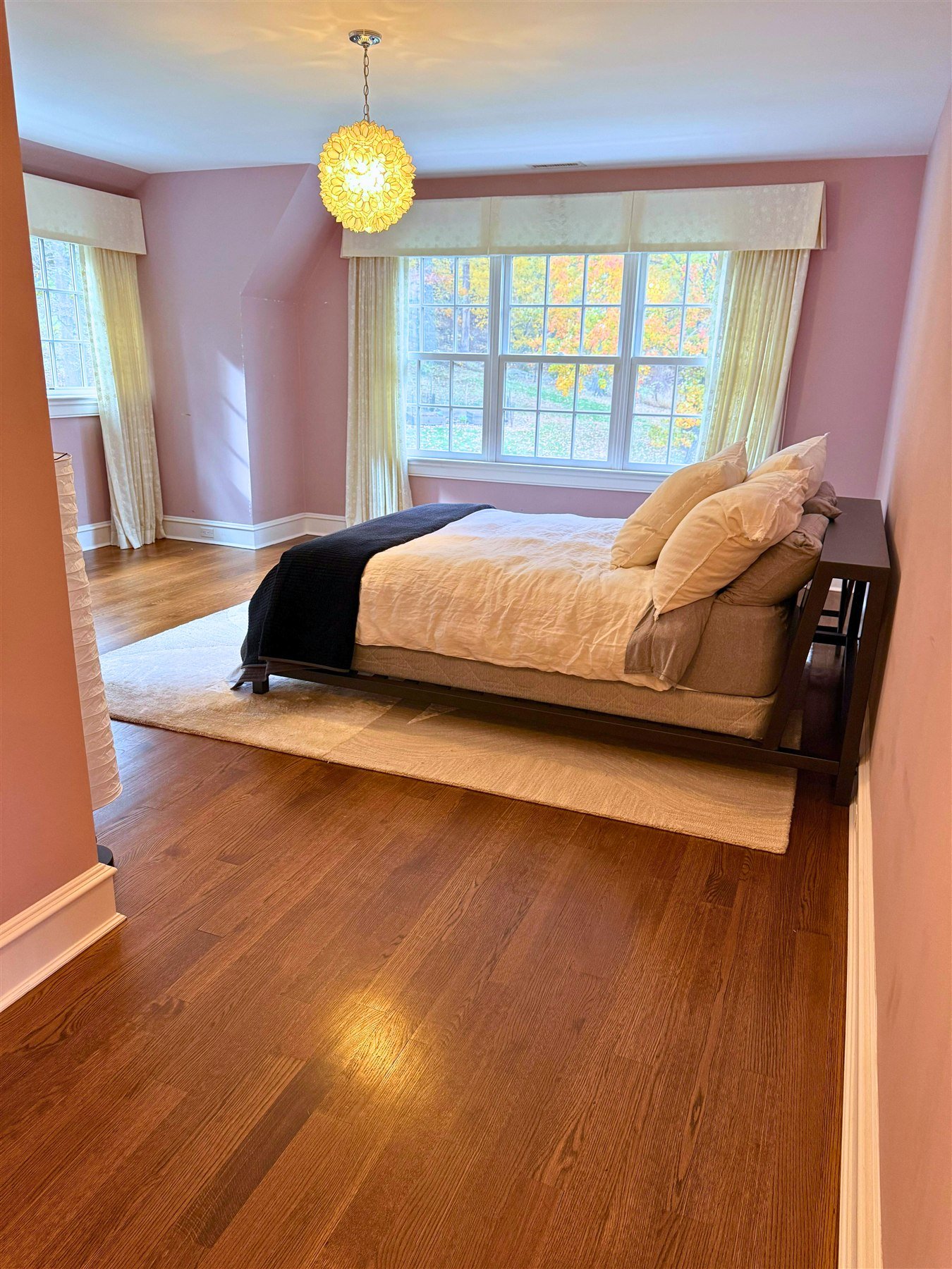 Home refresh cleaning project